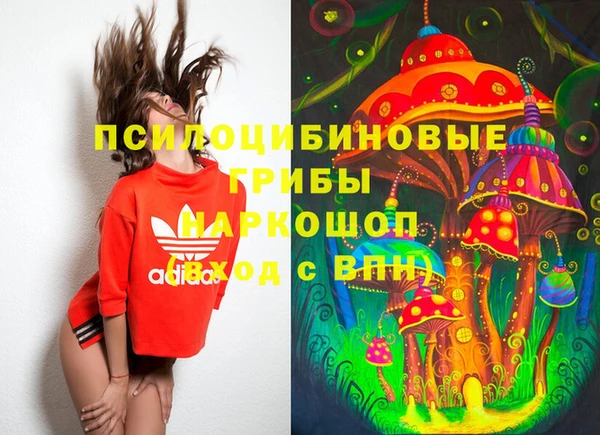 амф Киреевск
