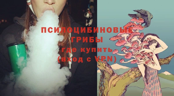 амф Киреевск