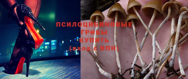 СК Тольятти