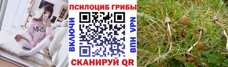 что такое Артём Псилоцибиновые грибы прущие грибы