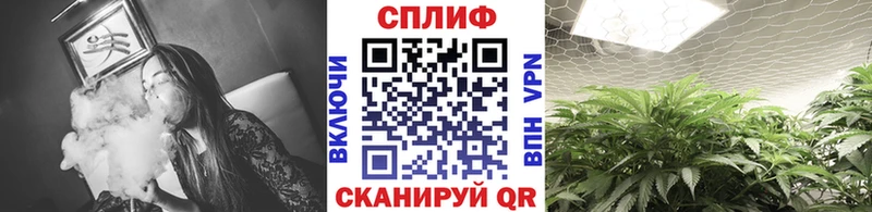 даркнет Telegram  гидра как войти  Шишки марихуана конопля  Артём  что такое  